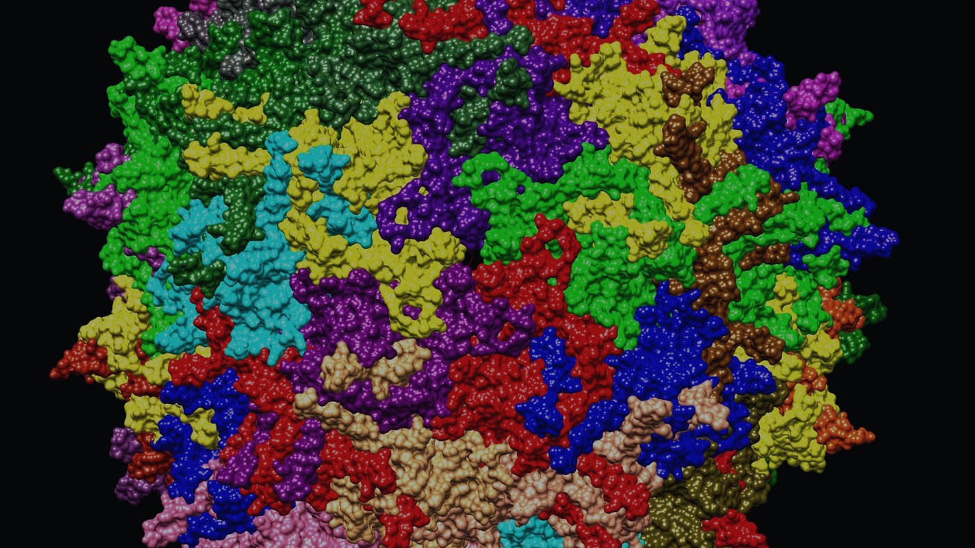 FDA Approves First Gene Therapy for Sanfilippo Syndrome Type A