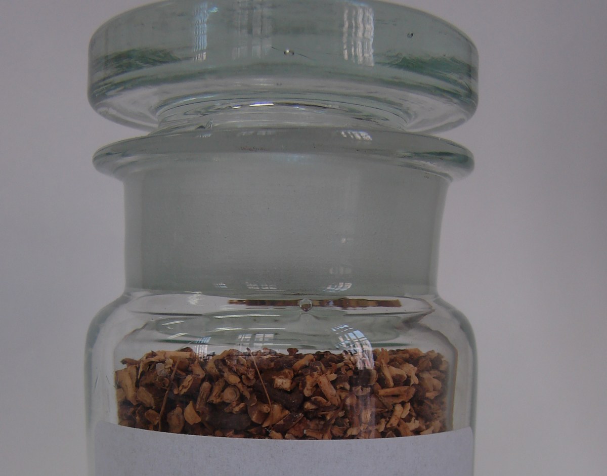 Dried ipecac roots