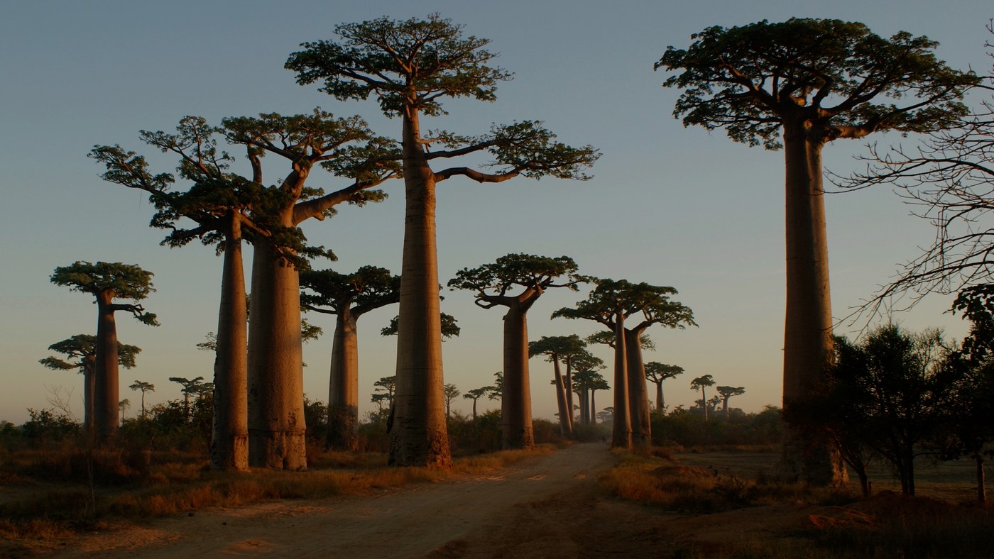Madagascar’s Returned Royal Relics: More Than Just History